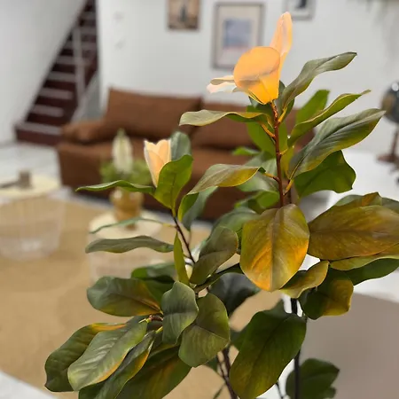 M B Homes Lauterstein 8 Nyaraló *